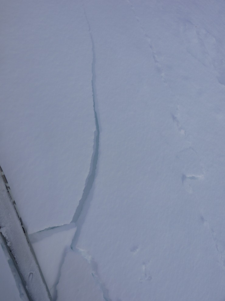 Cracks propagated readily from skis in some locations today.