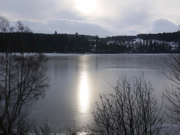 Thin ice on Loch Laggan this morning.