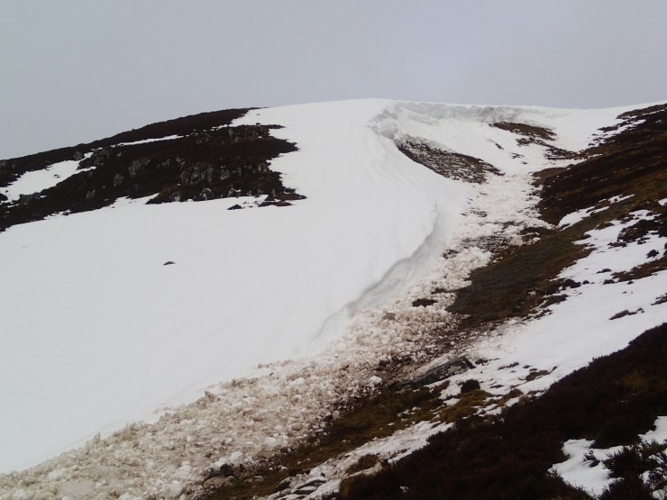 Wet snow avalanche (SE aspect) which released during yesterday's rain. 