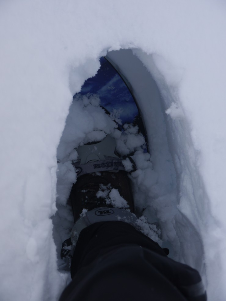 That right foot again, this time with a snowshoe. Still knee deep!
