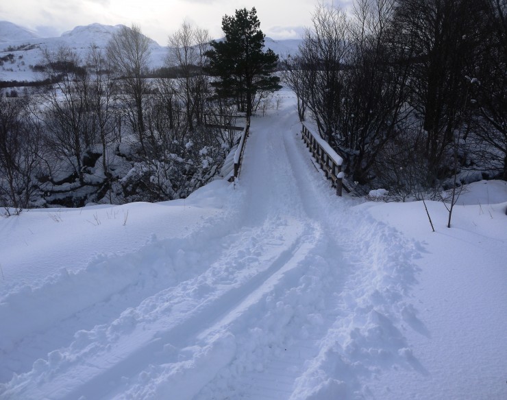 The stalkers' Argocat tracks - modified for snow.