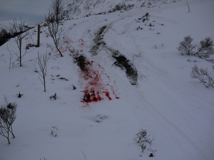 Evidence that SNH Creag Meagaidh stalkers were out shooting last night.