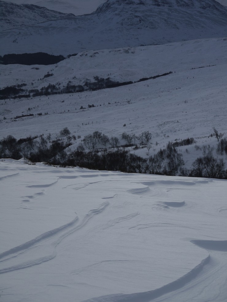 Wind-etched snow