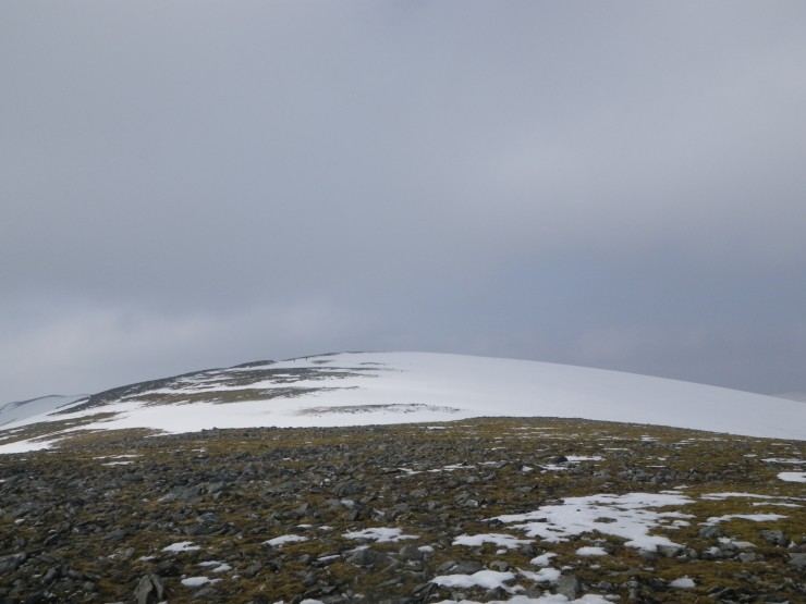 Cover becoming sparse in 'plateau' areas on Cairn Liath side