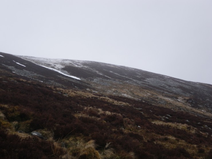 Same elevations as photo above -  Very little cover with only isolated patches below 800m on Cairn Liath Side. Reasonable still at plateau level.