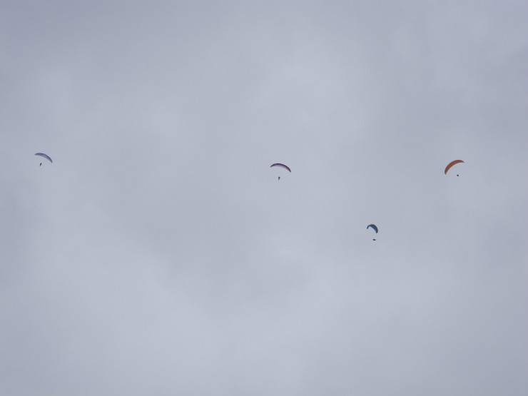 About 10 wings in action some off Cairn Liath , some from Sron a Ghoire - lift on both sides looked good....