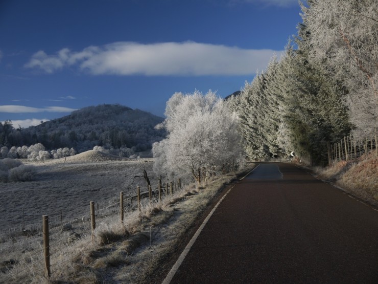 Frost trees