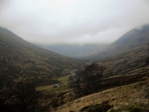 The greening of Creag Meagaidh