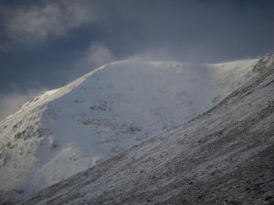 Contrasts on midwinter day