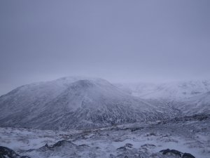 Wintry on the tops
