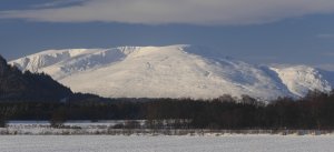 Covering of fresh snow.