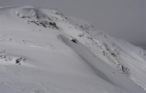 Spring makes an appearance on Beinn a Chaorainn