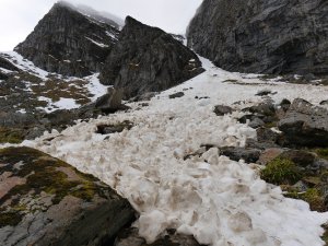 Cornice debris