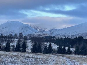 What it looks like – Day 1