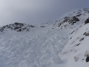 Dynamic snowpack and avalanche hazard