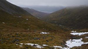 The colours of early winter?