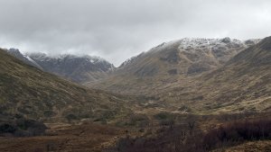 Cloudy, rising freezing level and becoming wet.