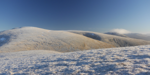 A path less trodden.