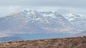 A Cooler and Brighter day