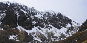 Creag Meagaidh: gone to the dogs (for some).