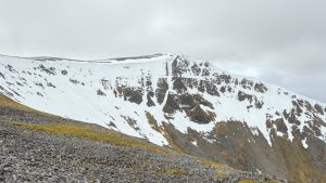 Grey then a Bright day.