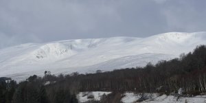 ‘Wee mental Davy’ has left the building.